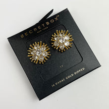 Load image into Gallery viewer, Secret Box - Floral Bling Burst

